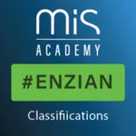 Enzian Classification | MIS icon