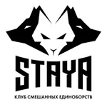 STAYA icon