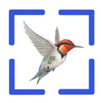 Bird Call Identification icon