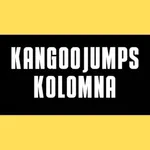 KANGOOJUMPS KOLOMNA icon