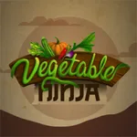 Ninja Vegetable icon