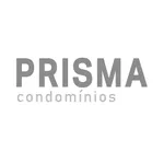 Prisma On-line icon