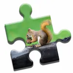 Squirrel Love Puzzle icon