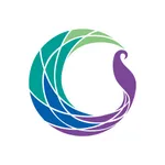 玳蕾綺 無鋼圈第一品牌 icon