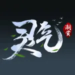 灵气潮赏 icon