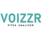 VOIZZR Pitch Analyzer icon