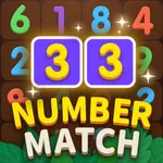 Number Match - Ten Pair Puzzle icon