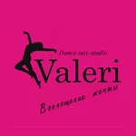 Dance mix-studio Valeri icon