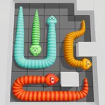 Snake Escape Puzzle icon