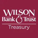 WBT Treasury Solutions icon