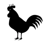 poultry icon