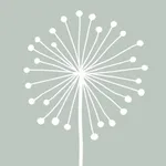 DandyLight - Photography App icon