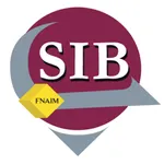 SIB91 icon