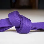 Purple Belt Requirements 2.0 icon