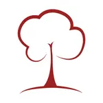 Analysic icon