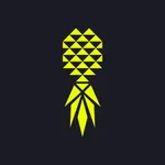 Pineapple Lifestyle icon