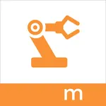 mPS LPA lnj Audits icon