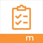 mPS LPA Paint Audit icon