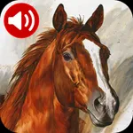 Horse Sounds Ringtones icon