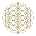 Matrix Members icon