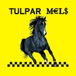 Taxi Tulpar Mels для клиента icon