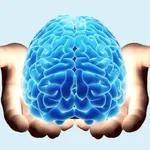 Nervous System Study Cards icon