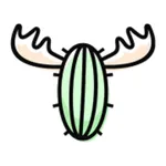 Lit Teen Social icon