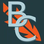 Battle Cards Game icon