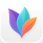 MindNode: Mind Map & Outline icon