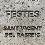 Festes Sant Vicent icon