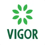 Vigor | ويجور icon