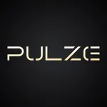 Pulze Editor icon