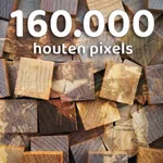 De Nachtwacht in hout icon