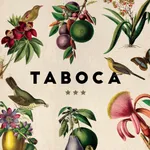 Taboca Tapiocaria icon