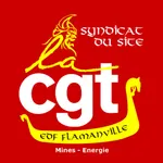 CGT FLAMANVILLE icon