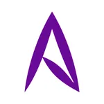 Anio icon