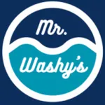 Mr. Washy icon