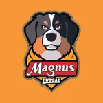 Magnus Futsal icon