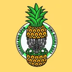 Queensland Disc Golf Open icon
