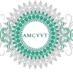 AMCVVT icon