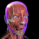 Muscle Study Guide icon