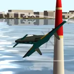 Canard Plane Race icon