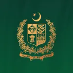 Constitution of Pakistan. icon