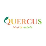 Quercus icon