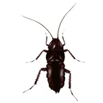 Insectivore icon