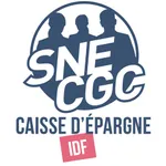 SNE-CGC CEIDF icon