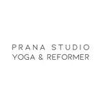 Prana Studio icon