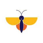 EvenFly icon