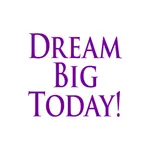 Dream Big Today! icon