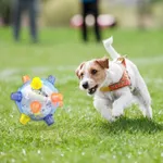 Virtual Pet Puppy Games 3D icon